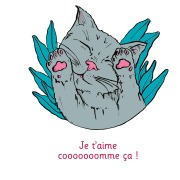 Cover-Bild zum Titel 'Je t'aime cooooooomme ça ! - Illustré par Anne Bory' von 'Urs Richle'