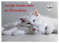 Cover-Bild zum Titel 'Aus der Kinderstube der Perserkatze (Wandkalender 2026 DIN A4 quer), CALVENDO Monatskalender' von 'Arno Klatt'