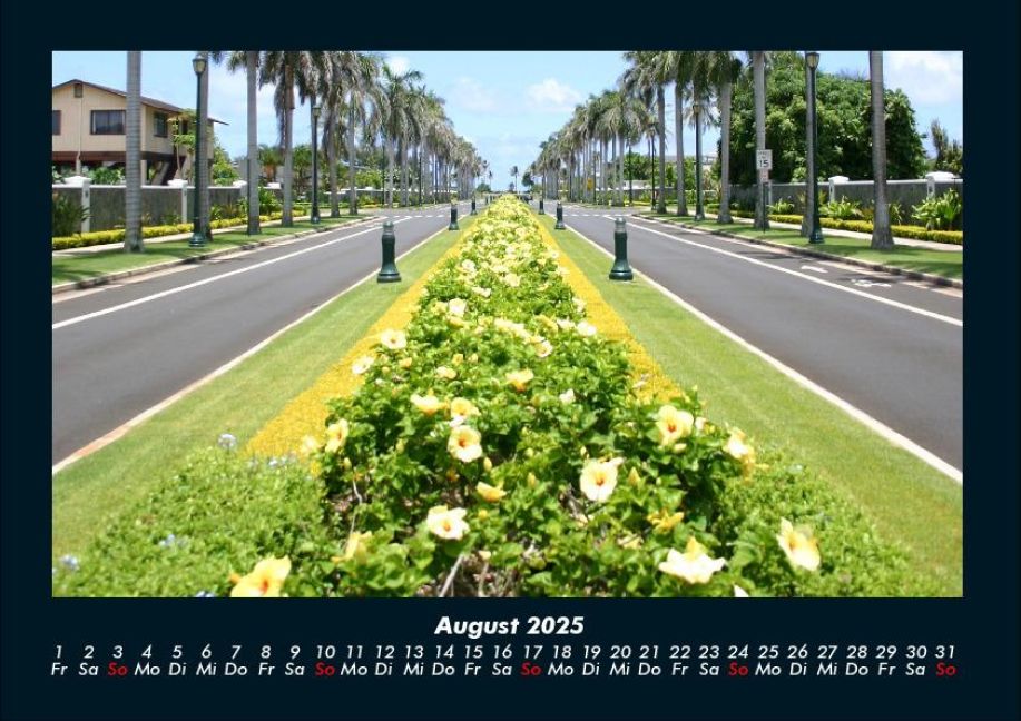 InsideView 12