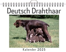 Cover-Bild zum Titel 'Deutsch Drahthaar' von 'Sofia Hartmann'