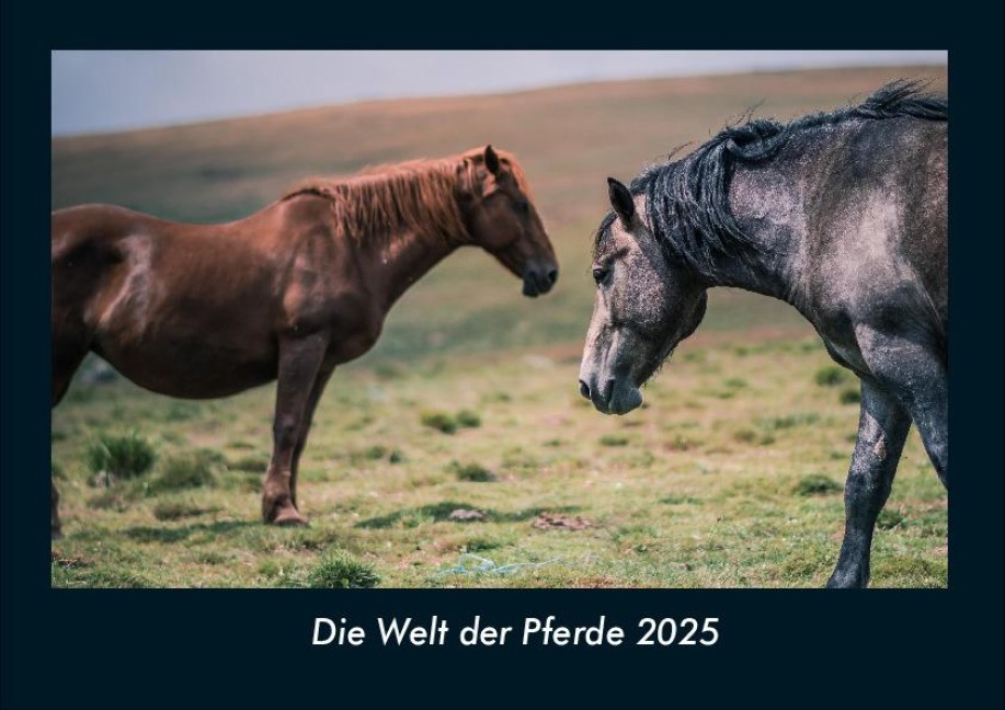 Die Welt der Pferde 2025 Fotokalender DIN A4 - Tobias Becker
