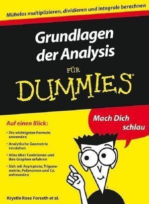 Grundlagen der Analysis für Dummies - Krystle Rose Forseth, Christopher Burger, Michelle Rose Gilman, Deborah J. Rumsey, Mark Ryan