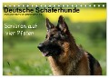Deutsche Schäferhunde - Senioren auf vier Pfoten (Tischkalender 2024 DIN A5 quer), CALVENDO Monatskalender - Petra Schiller