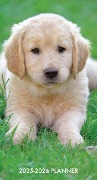 Puppy Love 2-Year 2025-26 3.5 X 6.5 Monthly Pocket Planner - Willow Creek Press