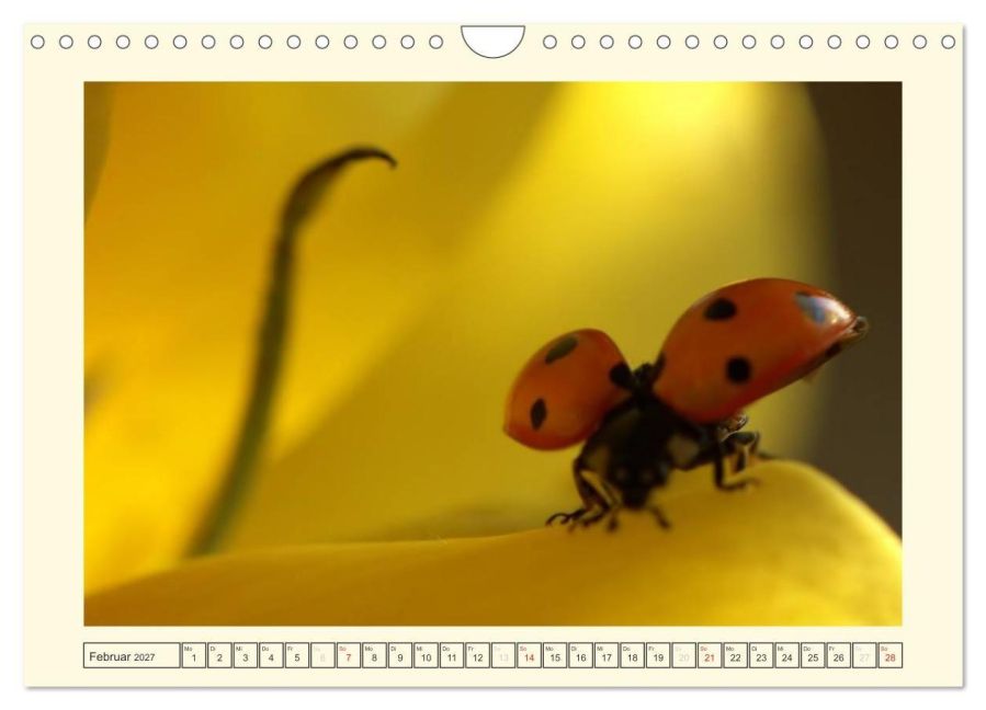 InsideView 7
