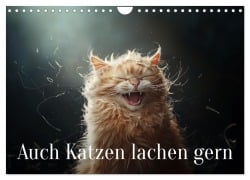 Auch Katzen lachen gern (Wandkalender 2025 DIN A4 quer), CALVENDO Monatskalender - Jürgen Moers