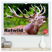 Cover-Bild zum Titel 'Rotwild. Edle Hirsche, stolze Kühe (hochwertiger Premium Wandkalender 2026 DIN A2 quer), Kunstdruck in Hochglanz' von 'Elisabeth Stanzer'