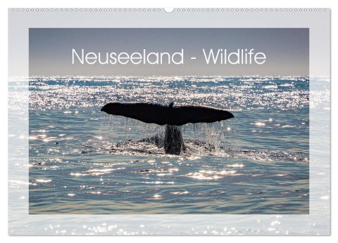 Neuseeland - Wildlife (Wandkalender 2025 DIN A2 quer), CALVENDO Monatskalender - Peter Schürholz