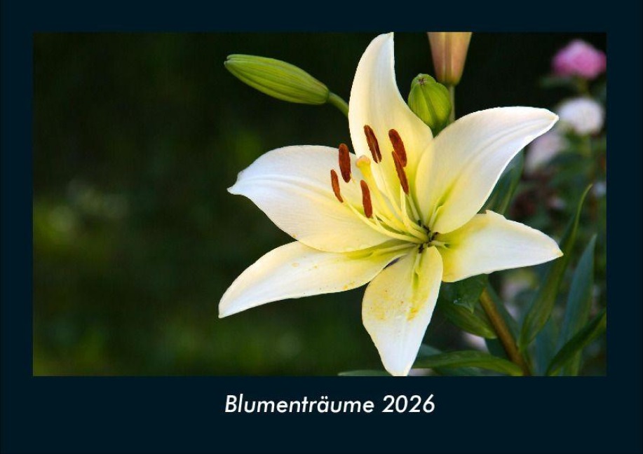 Blumenträume 2026 Fotokalender DIN A4 - Tobias Becker