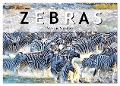 Zebras, Stars in Streifen (Wandkalender 2024 DIN A2 quer), CALVENDO Monatskalender - Robert Styppa