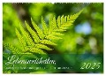 Lebensweisheiten, motivierende Sprüche und kluge Zitate mit Bildern der Natur (Wandkalender 2025 DIN A2 quer), CALVENDO Monatskalender - Angela Rohde