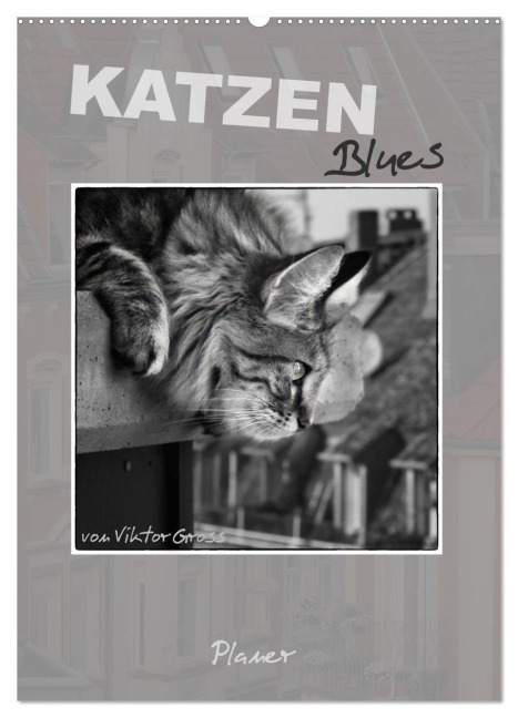 Katzen Blues / Planer (Wandkalender 2026 DIN A2 hoch), CALVENDO Monatskalender - Viktor Gross