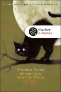 Cover-Bild zum Titel 'Mondschein über dem Deich' von 'Theodor Storm'