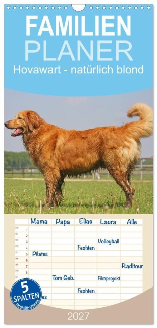 Familienplaner 2027 - Hovawart - natürlich blond mit 5 Spalten (Wandkalender, 21 x 45 cm) CALVENDO - Barbara Mielewczyk
