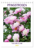 Pfingstrosen Rosen ohne Dornen (Tischkalender 2024 DIN A5 hoch), CALVENDO Monatskalender - Gisela Kruse