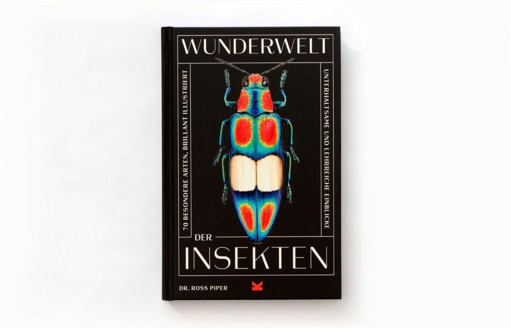 InsideView 1