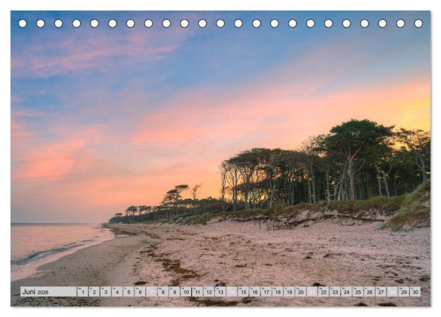 InsideView 11