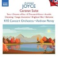 British Light Music,Vol.13 - Andrew/RT Concert Orchestra Penny