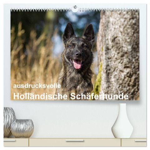 ausdrucksvolle Holländische Schäferhunde (hochwertiger Premium Wandkalender 2025 DIN A2 quer), Kunstdruck in Hochglanz - Fotodesign Verena Scholze