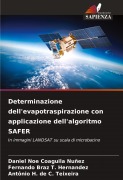 Determinazione dell'evapotraspirazione con applicazione dell'algoritmo SAFER - Daniel Noe Coaguila Nuñez, Fernando Braz T. Hernandez, Antônio H. de C. Teixeira