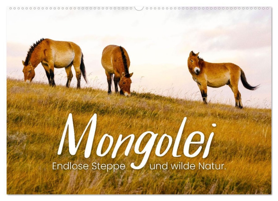 Mongolei - Endlose Steppe und wilde Natur. (Wandkalender 2026 DIN A2 quer), CALVENDO Monatskalender - Happy Monkey