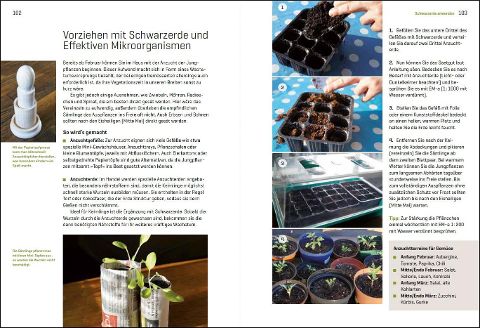 InsideView 4