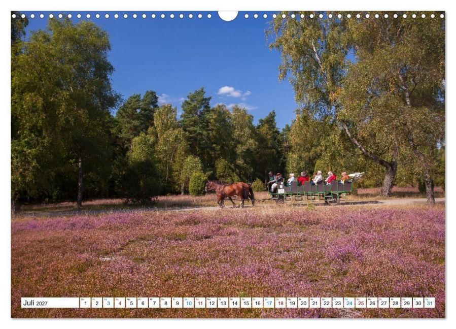 InsideView 12