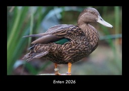 Cover-Bild zum Titel 'Enten 2026 Fotokalender DIN A3' von 'Tobias Becker'