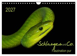 Cover-Bild zum Titel 'Schlangen und Co. - Faszination pur (Wandkalender 2027 DIN A4 quer), CALVENDO Monatskalender' von 'Sigrid Enkemeier'