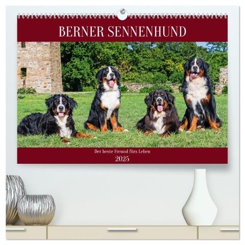 Berner Sennenhund - Der beste Freund fürs Leben (hochwertiger Premium Wandkalender 2025 DIN A2 quer), Kunstdruck in Hochglanz - Sigrid Starick