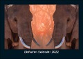 Elefanten Kalender 2022 Fotokalender DIN A5 - Tobias Becker