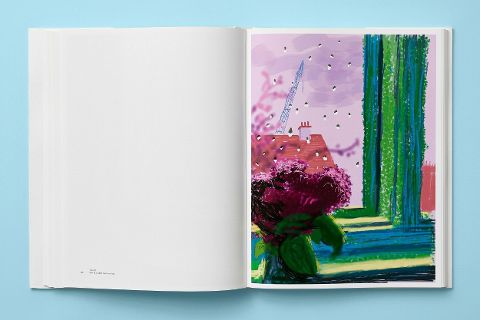 InsideView 8
