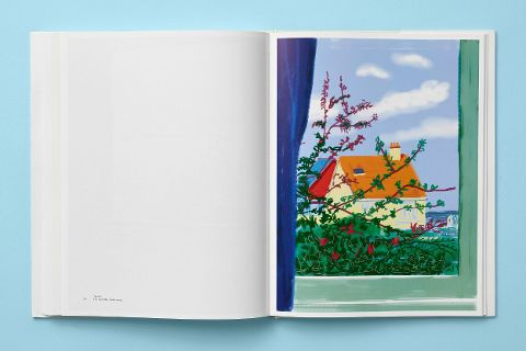 InsideView 15