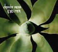 Exciter - Depeche Mode