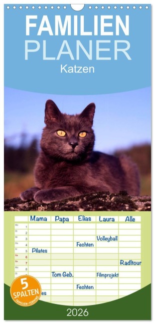 Familienplaner 2026 - Katzen mit 5 Spalten (Wandkalender, 21 x 45 cm) CALVENDO - Mcphoto Werner Layer