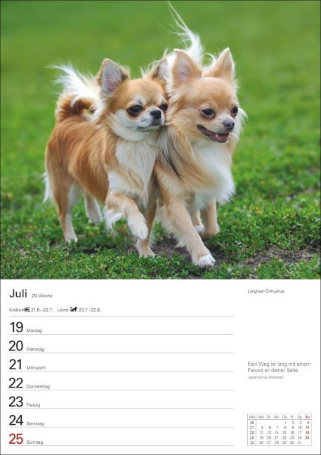 InsideView 10