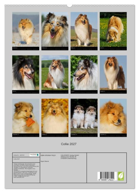 InsideView 4