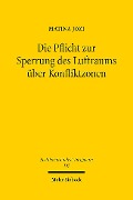 Die Pflicht zur Sperrung des Luftraums über Konfliktzonen - Matina Jozi