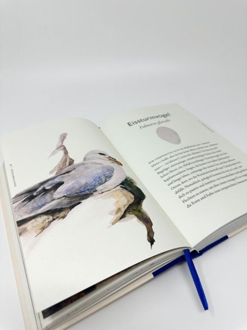 InsideView 5