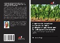 Cover-Bild zum Titel 'Commercializzazione del mais in India: politiche e questioni per lo sviluppo del mercato' von 'Narendra Singh'