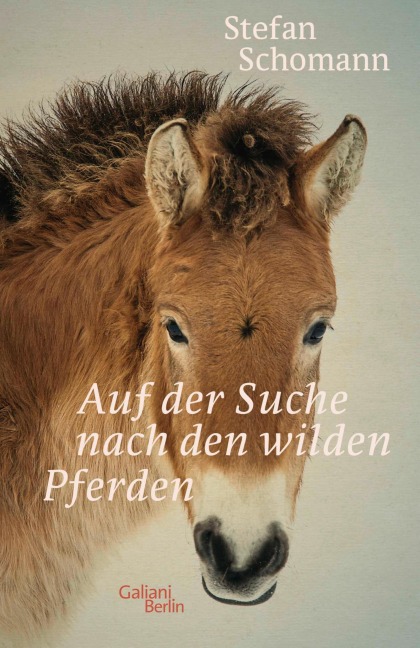 Auf der Suche nach den wilden Pferden - Stefan Schomann