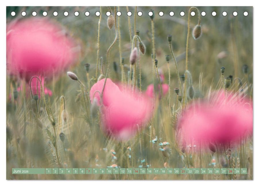 InsideView 11