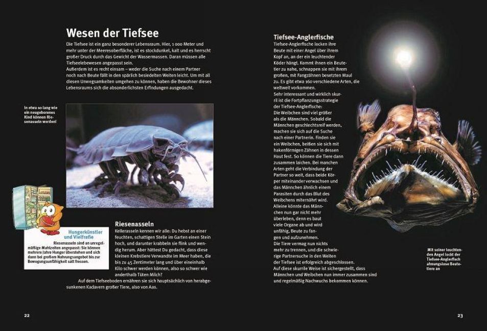 InsideView 1