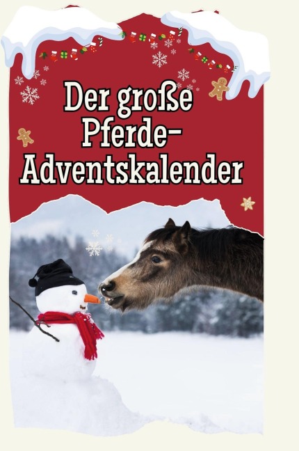 Der große Pferde-Adventskalender - Nora Hoffmann
