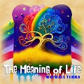 Cover-Bild zum Titel 'The Meaning of Life' von 'Raphael Terra'