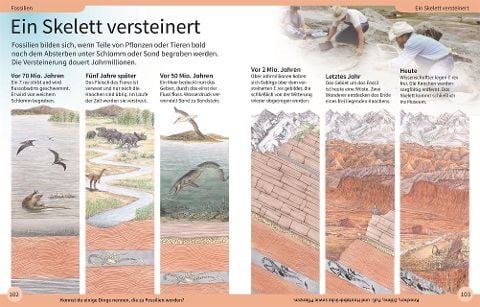 InsideView 6