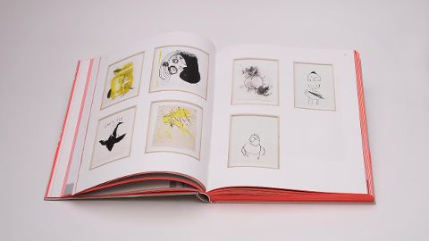 InsideView 5