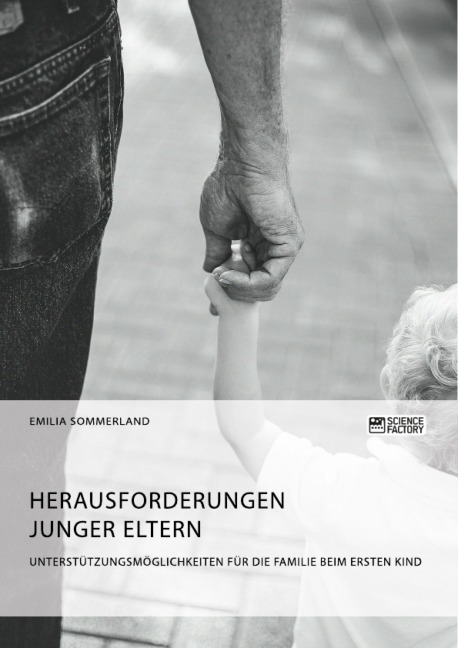 Herausforderungen junger Eltern. Unterstützungsmöglichkeiten für die Familie beim ersten Kind - Emilia Sommerland