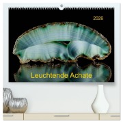 Cover-Bild zum Titel 'Leuchtende Achate (hochwertiger Premium Wandkalender 2026 DIN A2 quer), Kunstdruck in Hochglanz' von 'Wolfgang Reif'
