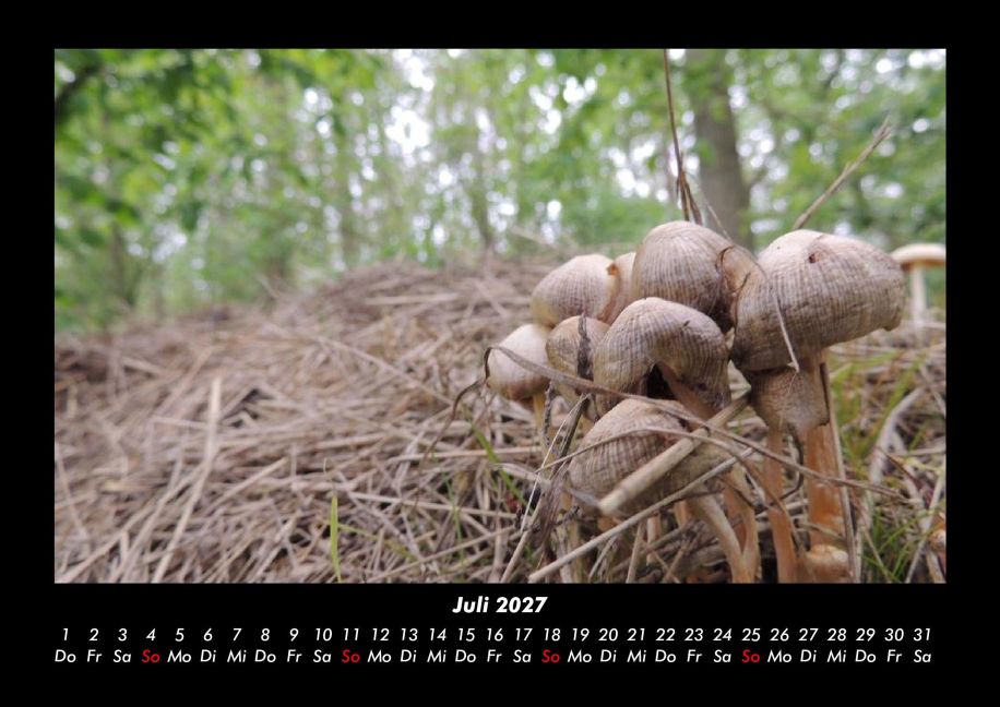 InsideView 11